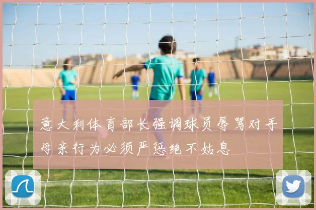 意大利体育部长强调球员辱骂对手母亲行为必须严惩绝不姑息
