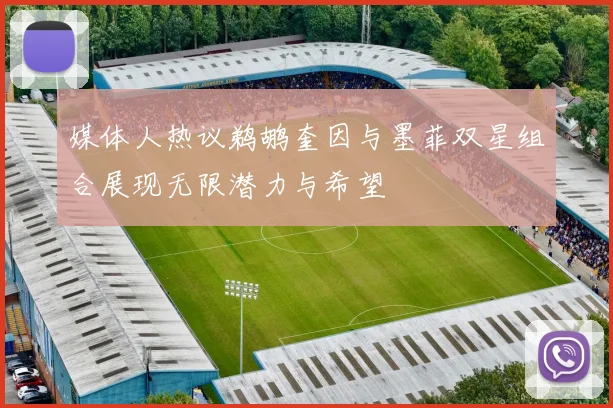 媒体人热议鹈鹕奎因与墨菲双星组合展现无限潜力与希望