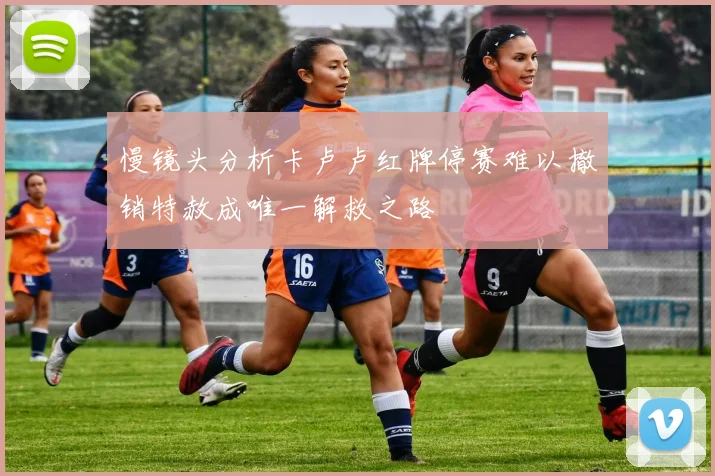 慢镜头分析卡卢卢红牌停赛难以撤销特赦成唯一解救之路