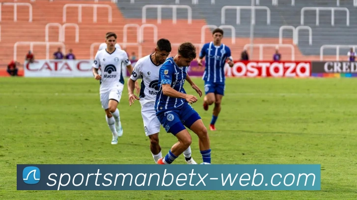 万博体育平台生态图